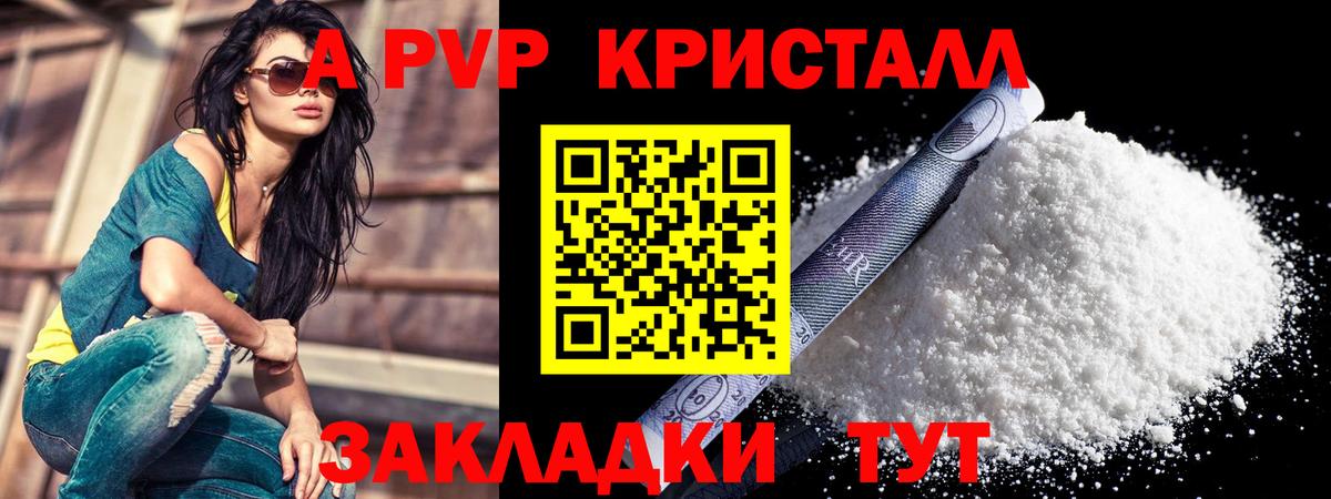 A PVP СК КРИС Владикавказ