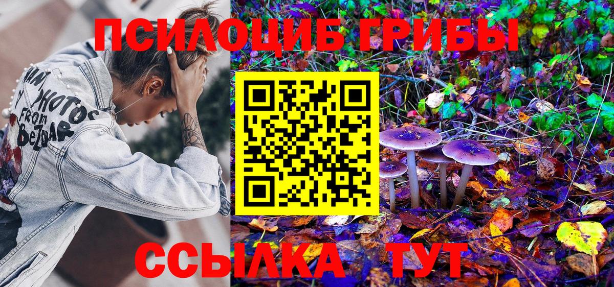 Псилоцибиновые грибы MAGIC MUSHROOMS Владикавказ