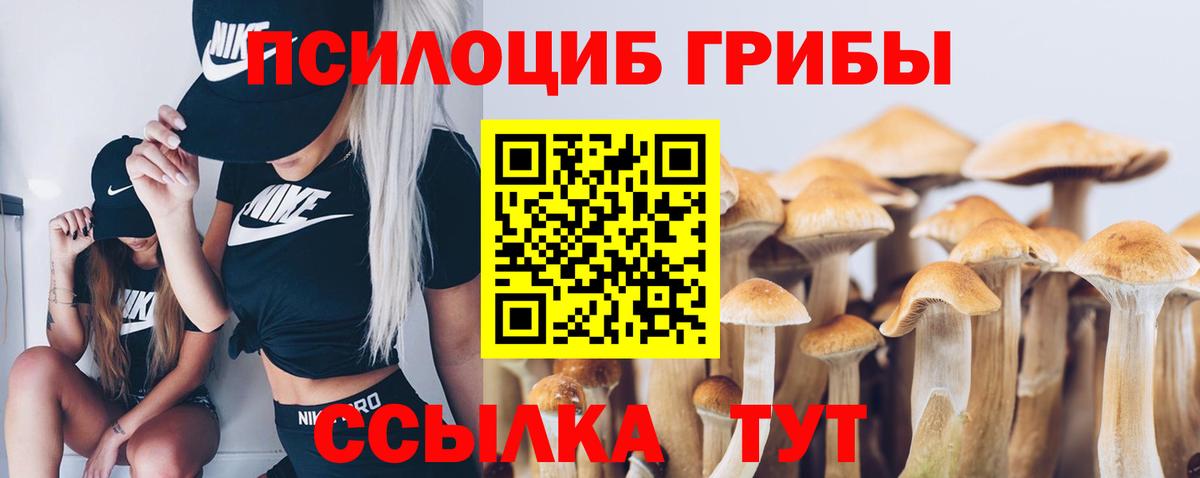 Владикавказ  Галлюциногенные грибы Cubensis  дарнет шоп  Вход с VPN 